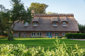Entzückende Reetdachkate am Feldrand mit Kamin Nieby